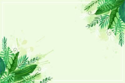 Natural Exotic Leaves Background – Free Stock Photo Download