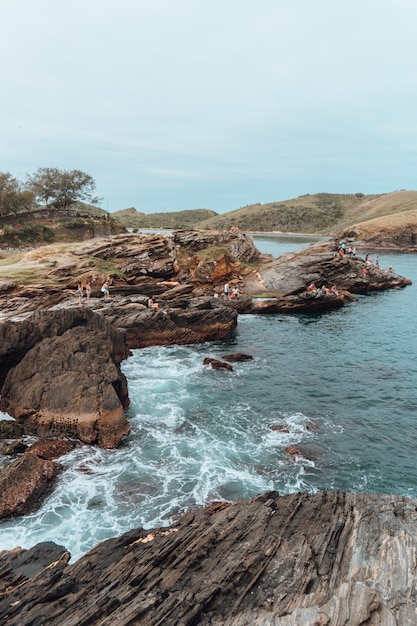 Vertical Picture of the Sea Surrounded by Rocks and Greenery in Rio de Janeiro, Brazil – Free Download