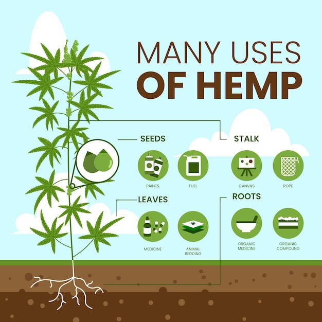 Hemp Infographic – Free Download