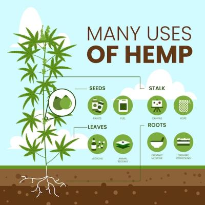 Hemp Infographic – Free Download