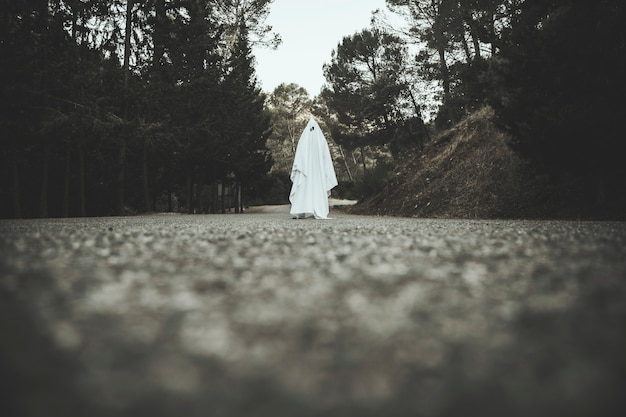 Ghost on a Countryside Road – Free Download, Free Stock Photo