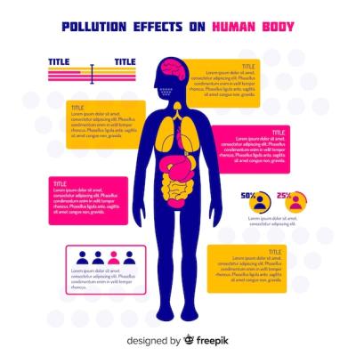 Pollution on Human Body Infographic – Free Stock Photo for Download