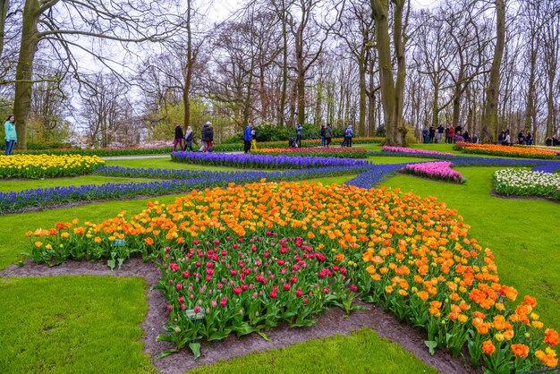 Tulips and Other Flowers in Keukenhof Park, Lisse, Holland – Free to Download