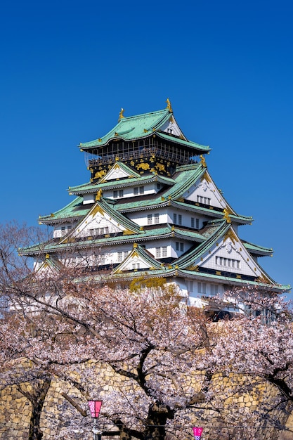 Cherry Blossoms and Castle in Osaka, Japan – Free Download