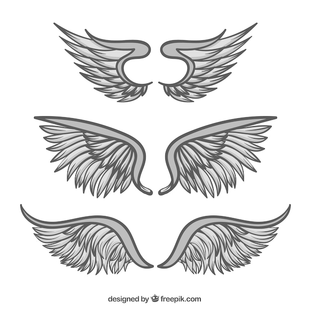 Hand Drawn Wings Collection – Free Download