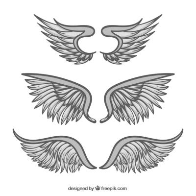 Hand Drawn Wings Collection – Free Download