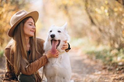 Young Woman Enjoying Nature with Her White Dog – Free Stock Photo, Download for Free