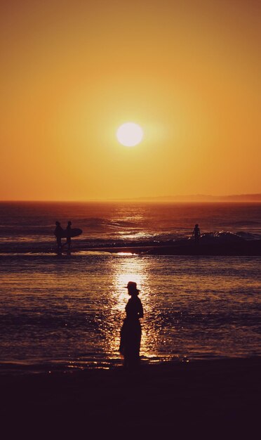 Silhouette of People Standing on Beach at Sunset – Free Stock Photo for Download