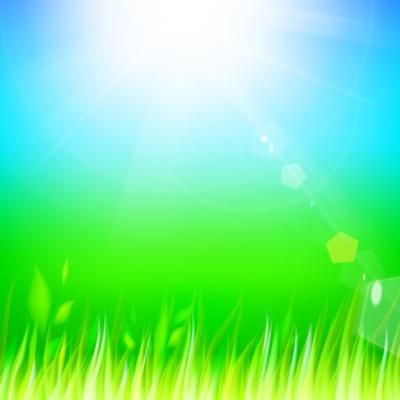 Green Grass – Free Stock Photo, Download for Free