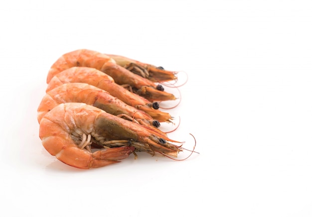 Fresh Shrimp/Prawn – Free Download