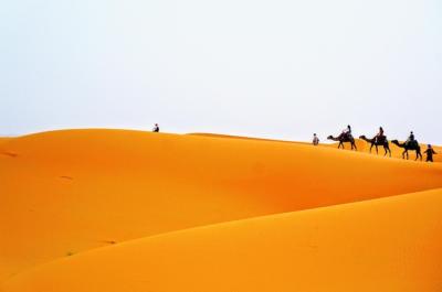 People Riding Camels in the Desert Against a Clear Sky – Free Stock Photo, Download Free