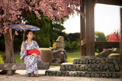 Woman in Kimono with Wagasa Umbrella – Free Download