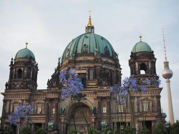 Berliner Dom Church – Free Stock Photo, Download for Free