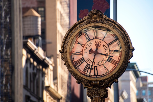 Fifth Avenue Street Watch in New York City – Free Stock Photo Download