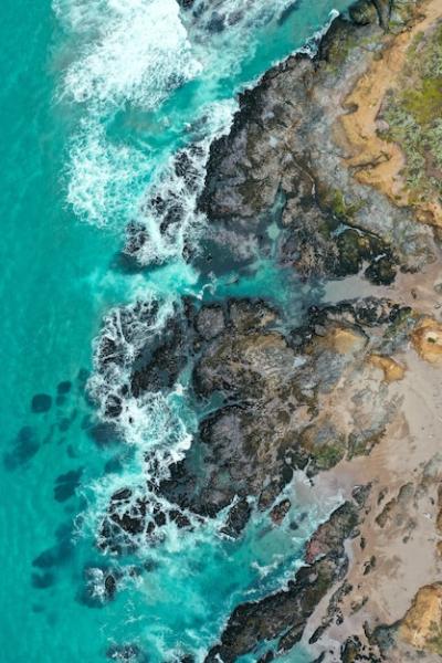 Beautiful Shoreline of the Sea with Blue Water and Sandy Beach – Free Download