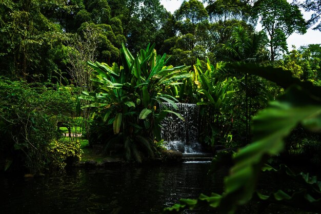 Waterfall Cascading into a Serene Pool Surrounded by Trees – Free Stock Photo Download