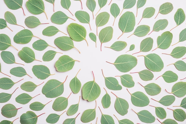 Green Leaves Pattern – Free Download for Stunning Visuals