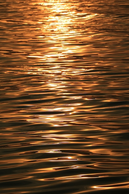 Golden Morning Sunlight Reflections on the Sea Surface – Free Download