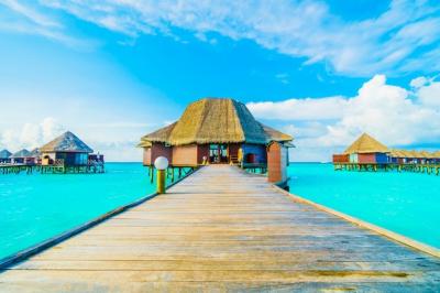 Maldives Island – Free Stock Photo for Download