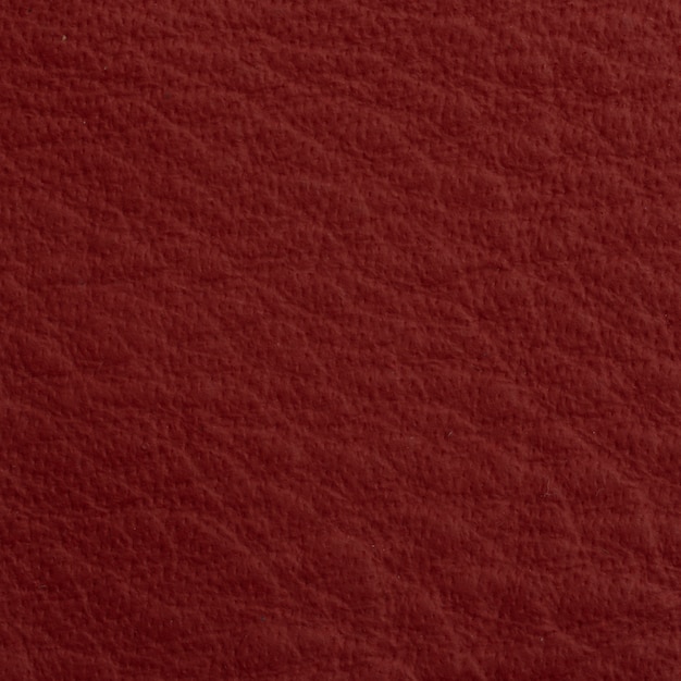 Leather Texture Background – Free Download