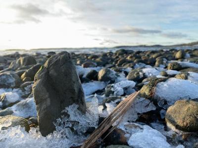 Scenic Beach Rocks Under the Sky – Free Stock Photo for Download