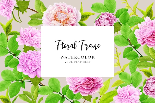 Peonies Floral Background and Frame Card Design – Free Download