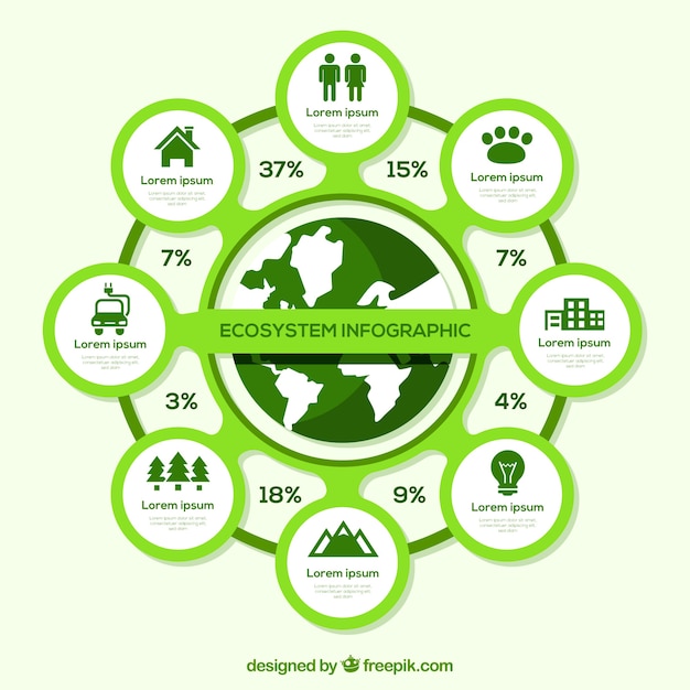 Modern Ecosystem Infographic in Flat Design – Free Stock Photo, Download for Free