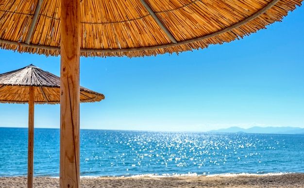 Reed Umbrellas and Sun Beds at a Serene Beach – Free Stock Photo Download