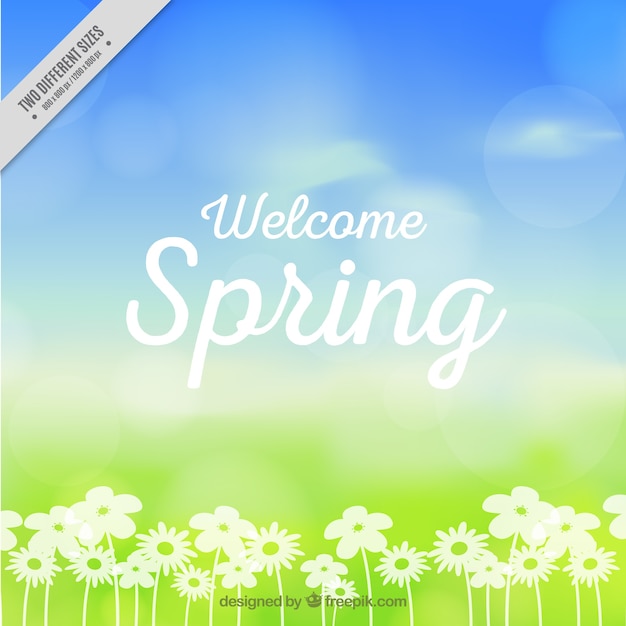 Blurred Spring Background with Flowers – Free to Download