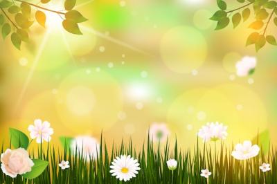 Realistic Spring Background – Free Download