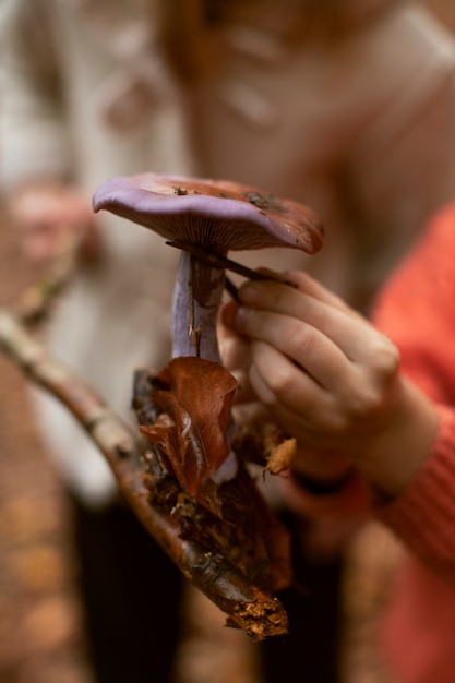 Collecting Food from the Forest – Free Stock Photo, Download for Free