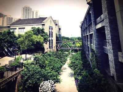 Urban Garden Inspirations: Free Stock Photos for Creative Projects – Download Free