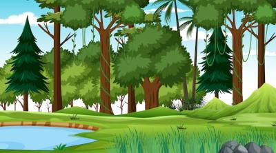 Forest Nature Scene with Pond and Lush Trees – Free to Download