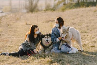 Two Stylish Girls Enjoying a Sunny Field with Dogs â Free Download