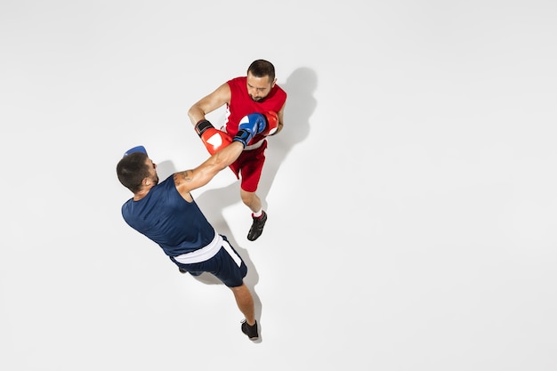 Two Professional Boxers Boxing in Action â Free Stock Photo for Download