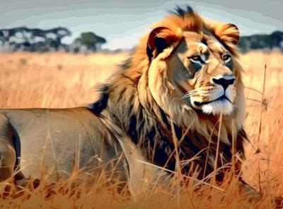 Mighty Lion Observing Lionesses Ready to Hunt in Masai Mara, Kenya – Free Download