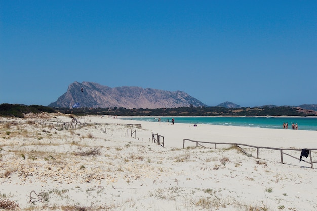 Sandy Beach in San Teodoro, Sardinia with Mountains – Free Stock Photo Download