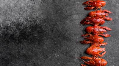 Delicious Seafood Lobster with Copy Space – Free Download