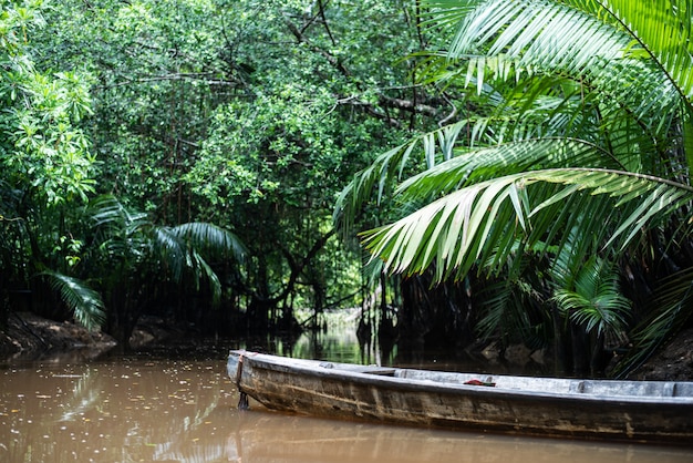 The Little Amazon in Pang-Nga: Sang Nae Canal Thailand – Free to Download Photos