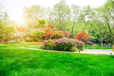 Stunning Green Park Images – Free Download