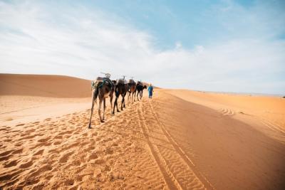 People Walking on Sand Dune in Desert Against Sky – Download Free Stock Photo