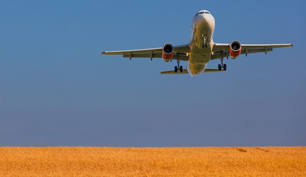 White Airliner Flying – Free Download, Download Free Stock Photo