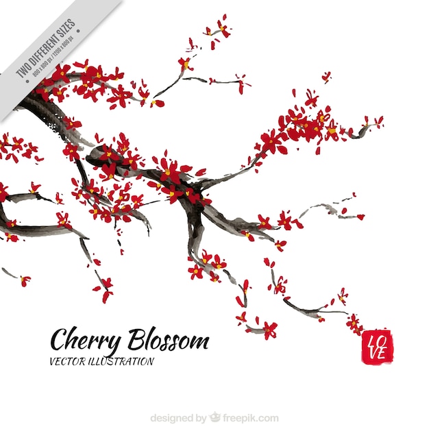 Watercolor Cherry Blossoms Branch Background – Free Download