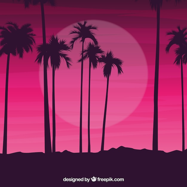 Palm Tree Silhouettes Against a Night Sky – Free Download