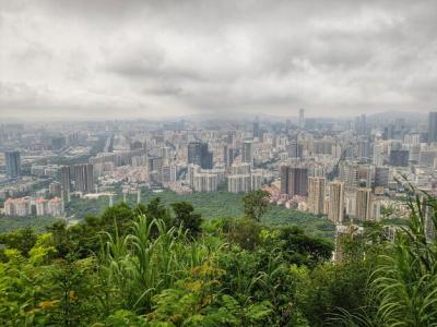 High Angle View of Trees and Buildings Against Sky – Free Stock Photo for Download