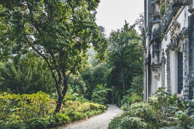 Public Park Featuring Cobblestone Pathway, Historic Building, and Trees – Free Download