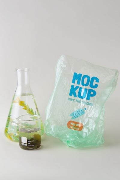 Plastic Bag Mockup Featuring Seaweed – Free Download