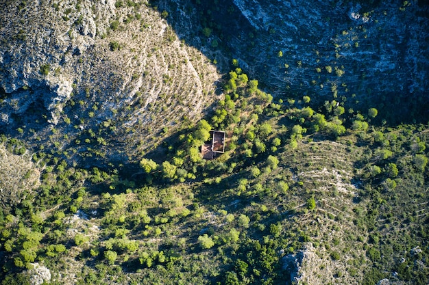 Abandoned House Surrounded by Lush Greenery – Free Download