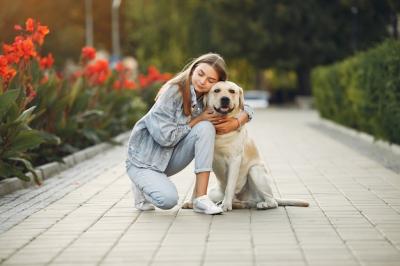 Charming Street Moments: Woman with Her Cute Dog – Free Download