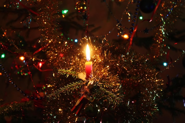 Warm Light of a Colorful Candle Flame on a Christmas Tree Background – Free Stock Photo, Download Free